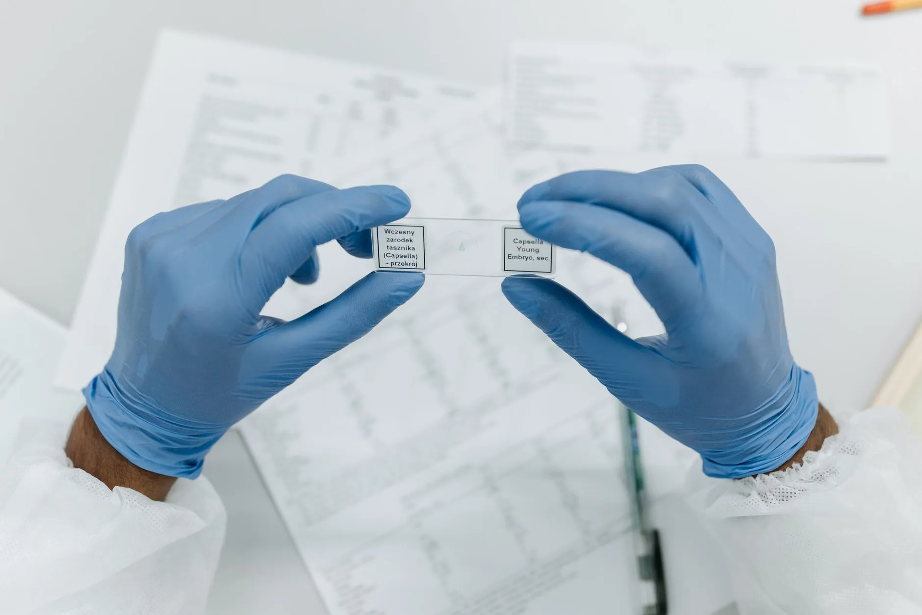 头皮护理液有效成分作用机制与临床适配性分析正文配图 1